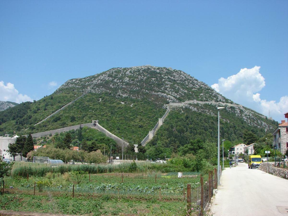 Iva Lavanda Putniković Exterior foto